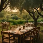 Cena tra gli ulivi: ristoranti immersi nel verde per un’esperienza sensoriale diversa